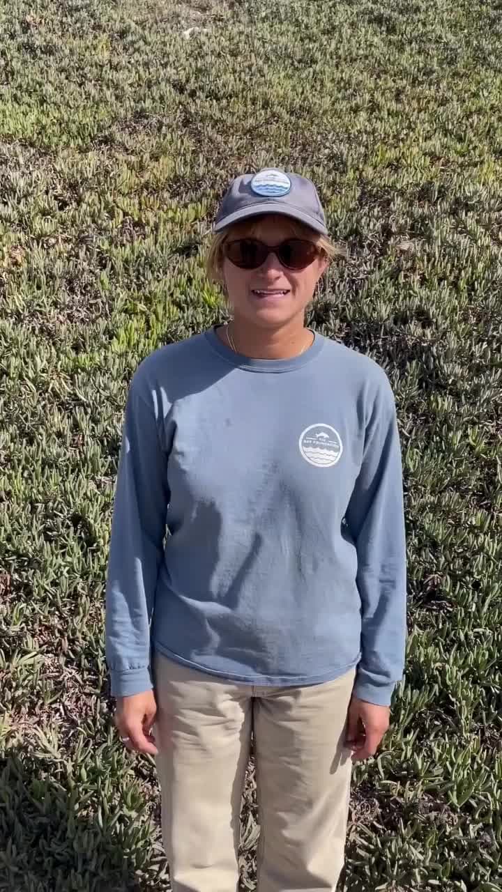 TBF Coastal Adaptation Program