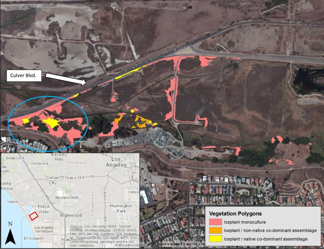 Project Site Wide View