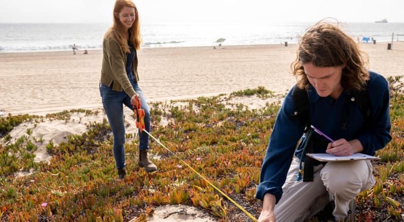 https://cms.santamonicabay.org/wp-content/uploads/2021/08/protecting-beaches.jpg