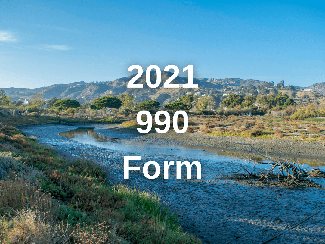 2021 990 Form