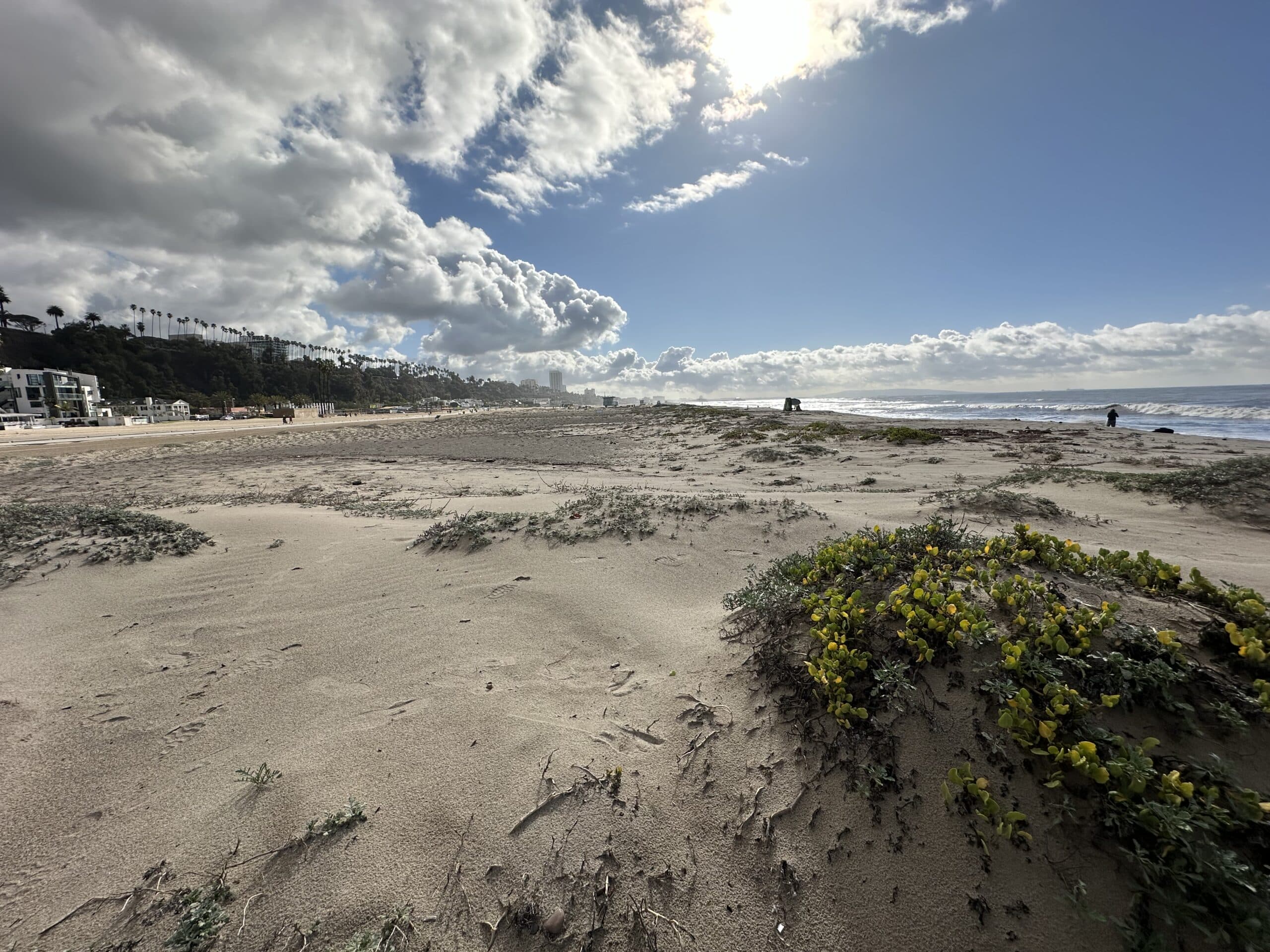 2024Feb7_SamoP_Highlight