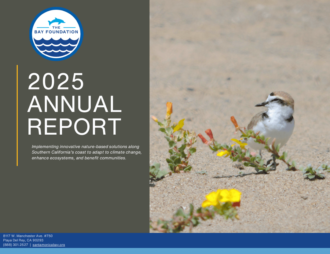 2025 TBF Annual Report displaying beach sand, a bird, and yellow flower
