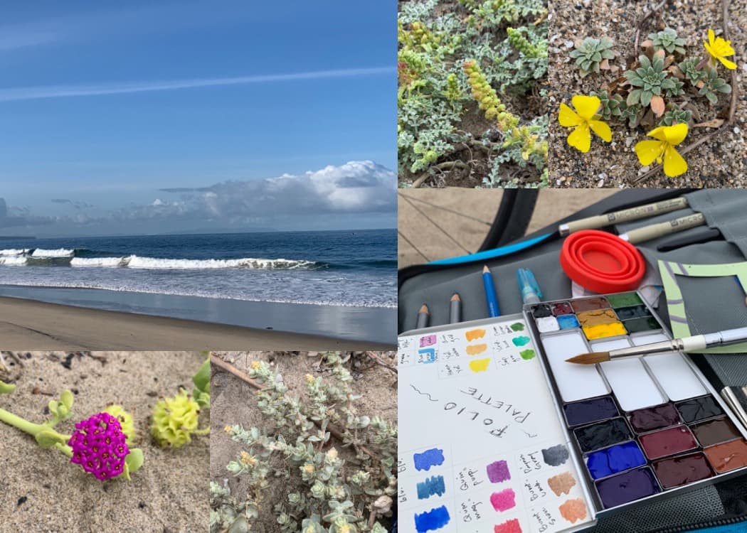 Beach_Sketching_NNITBF_Aug2026