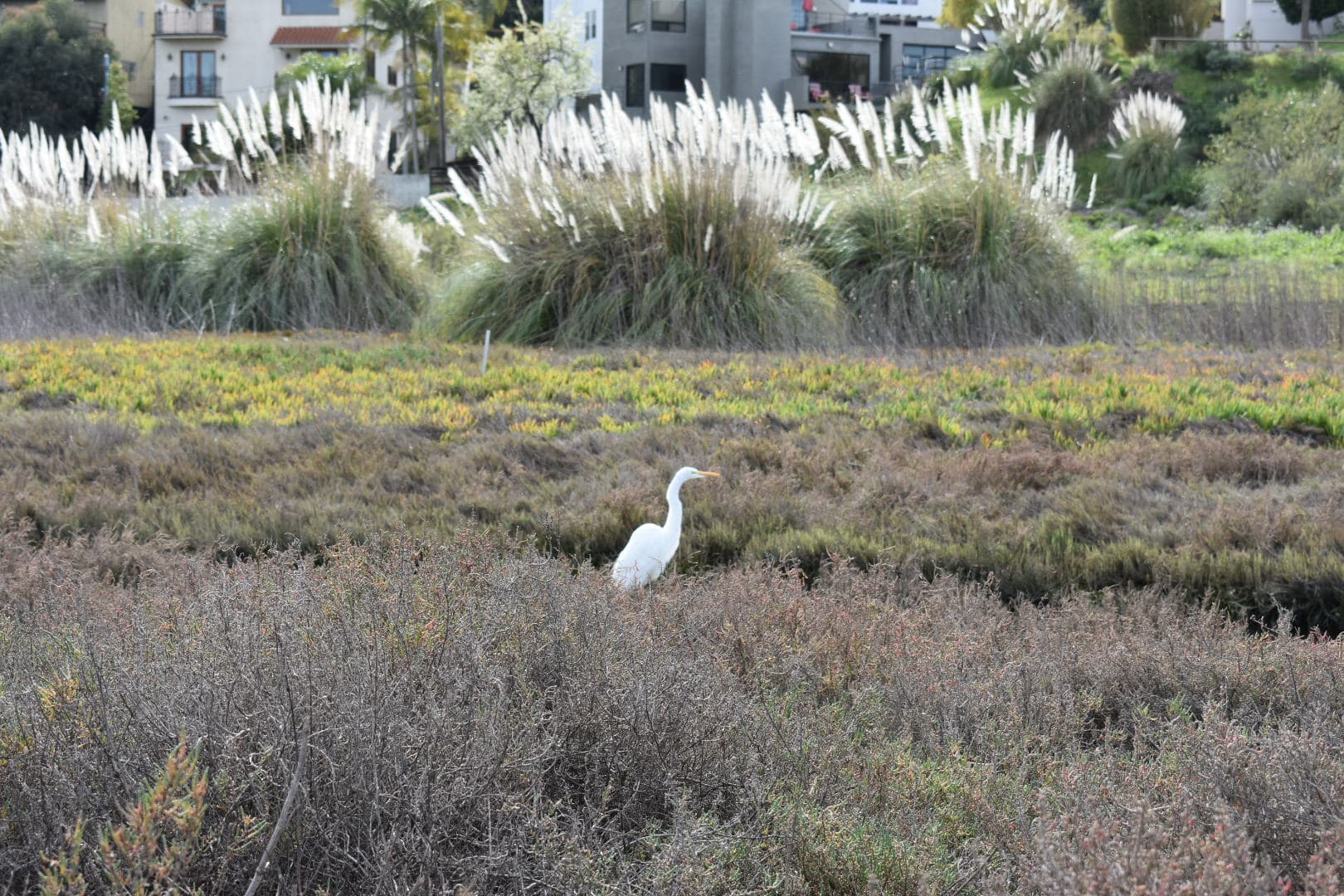 https://cms.santamonicabay.org/wp-content/uploads/DSC_0603.jpg