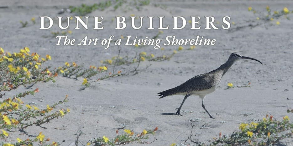 DuneBuilders