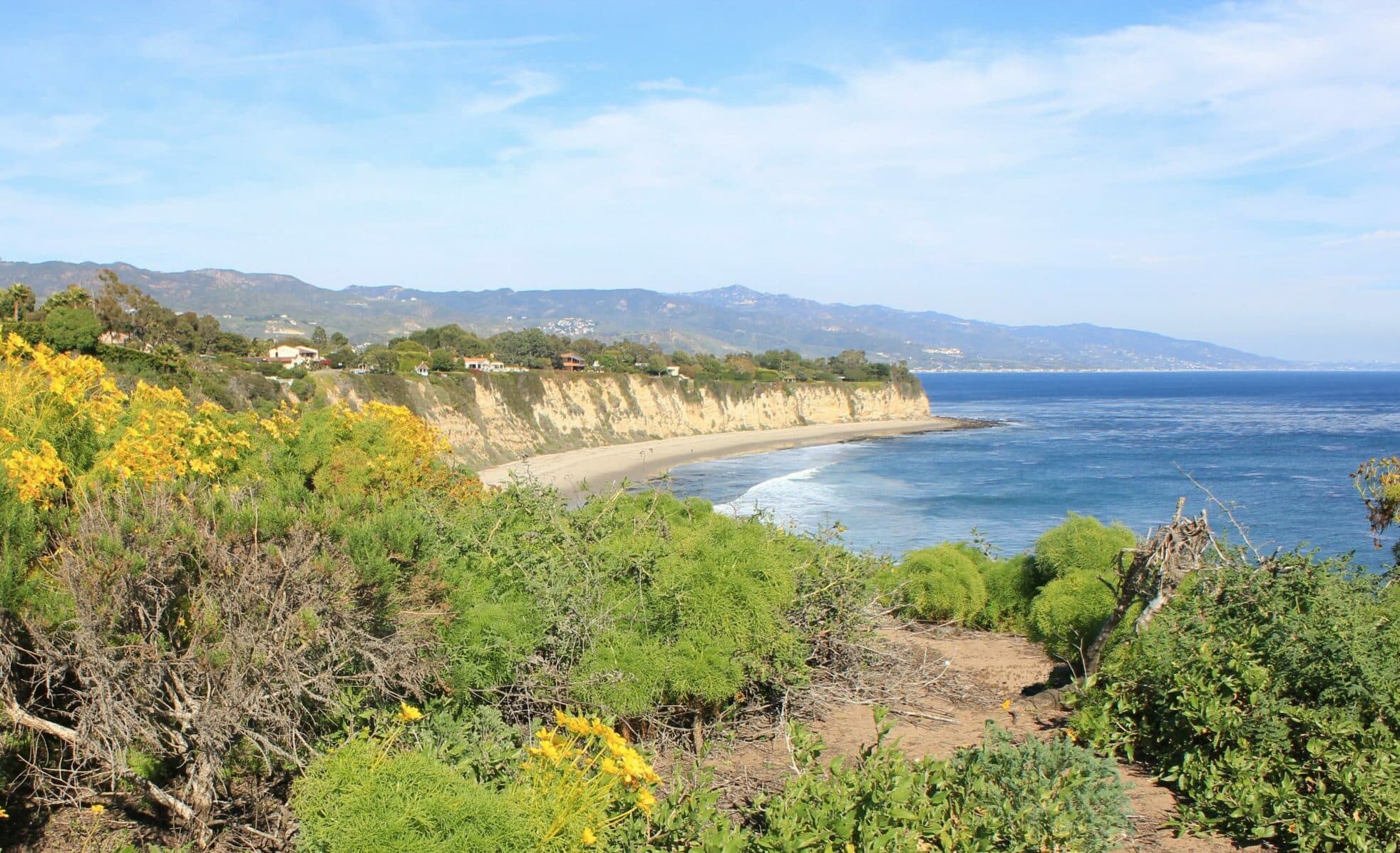 IMG_5088_malibu