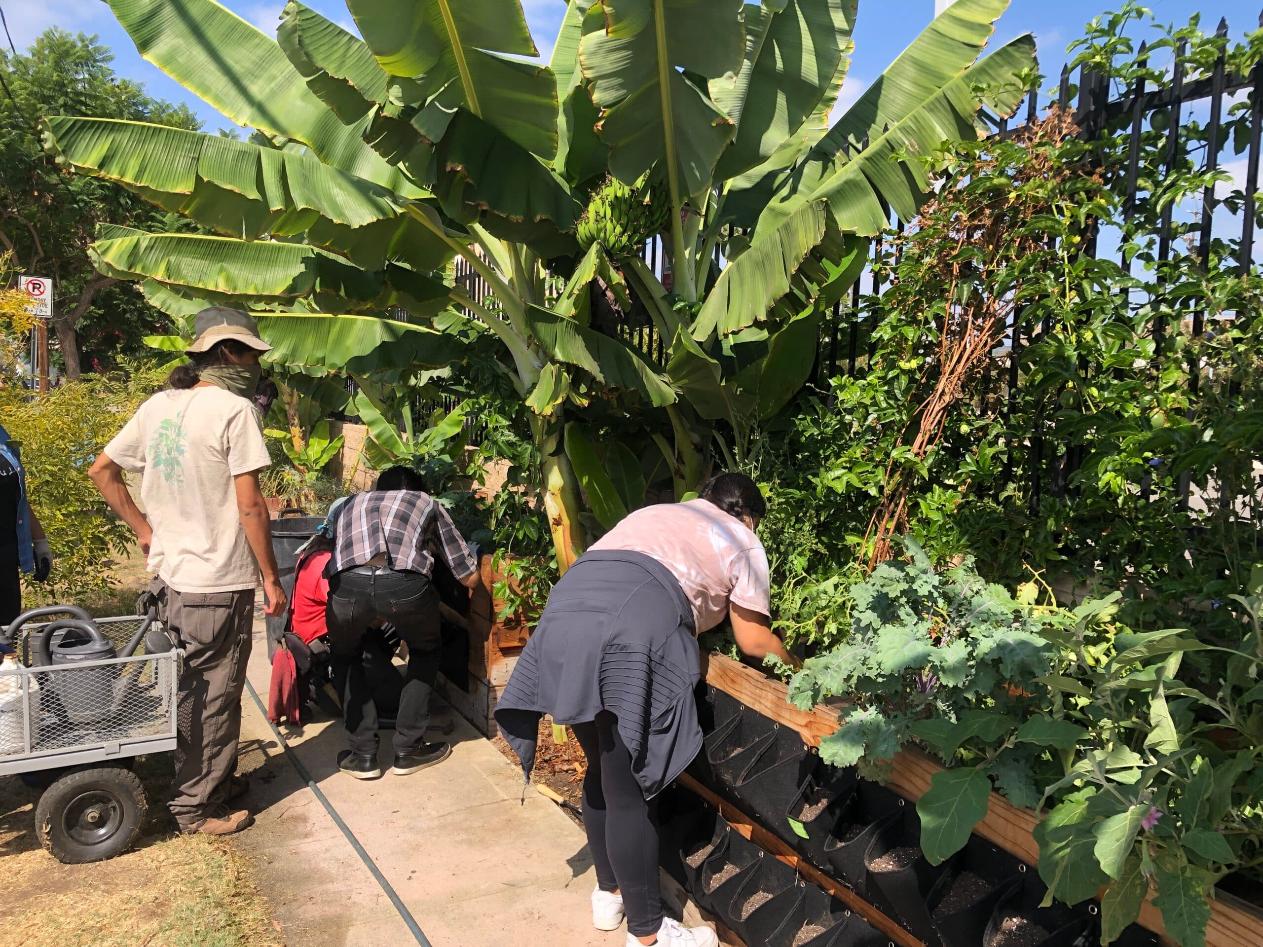 Volunteers by the garden