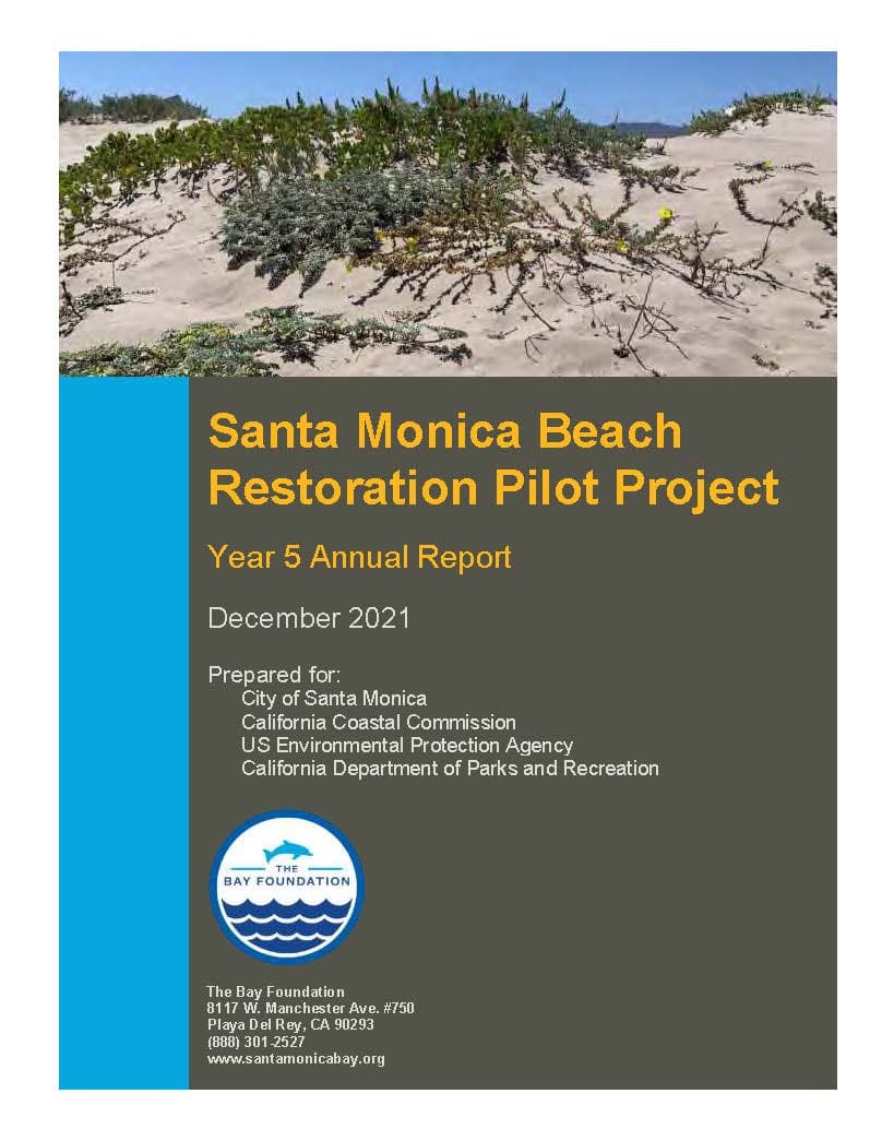 SaMo YR5 Report Cover Image &#8211; Copy