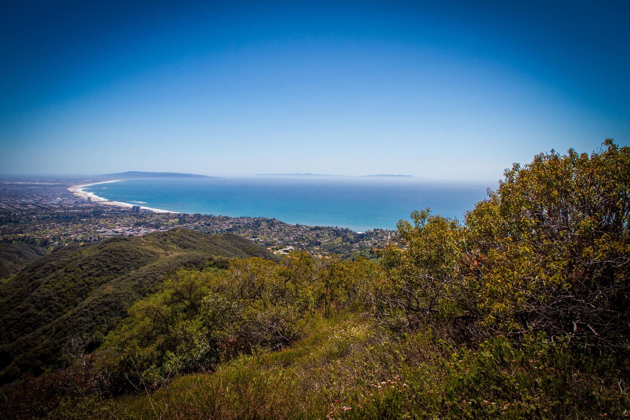 Santa Monica Bay_MJLevin