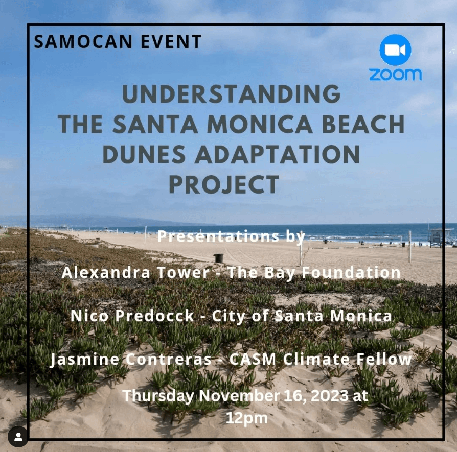 Screenshot 2023-11-03 115424