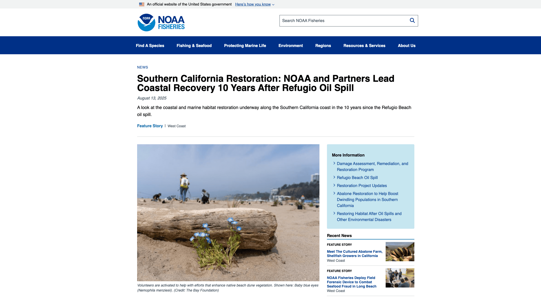 NOAA Fisheries webpage displaying photo of TBF dune restoration beach site with a flower