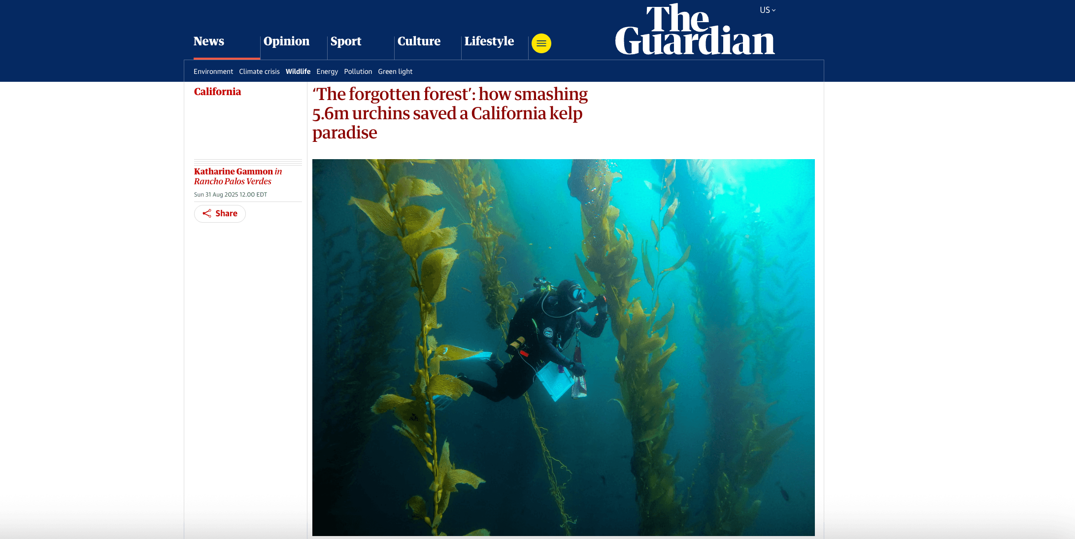 The Guardian article display on its website, showing image of TBF scuba diver underwater in a kelp forest