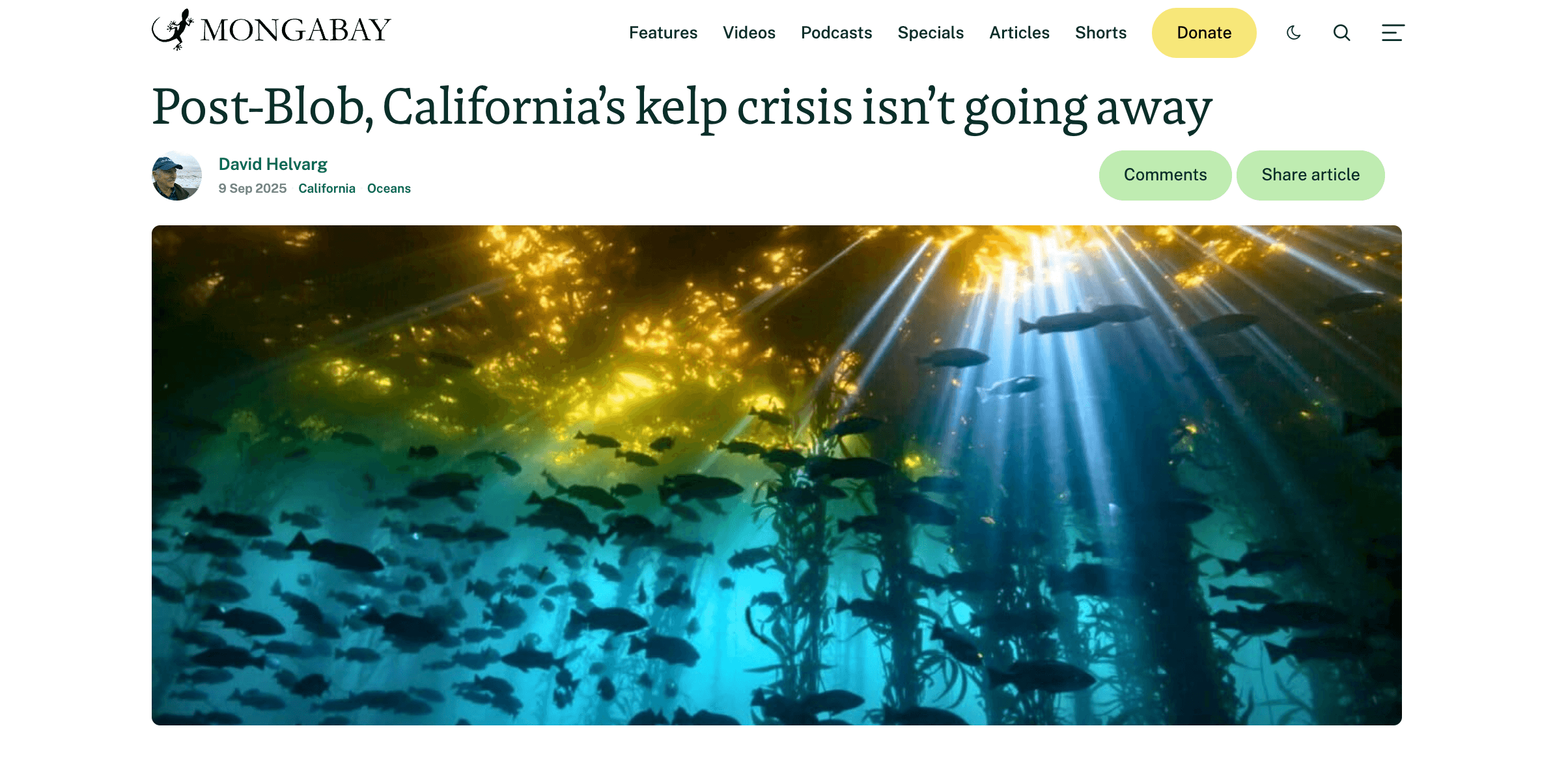 Display of Mongabay website with kelp forest image on display