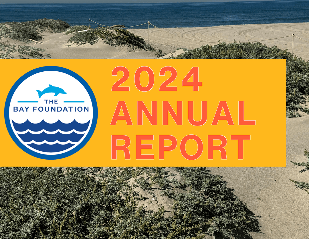 TBF annual report cover page with its logo and an image of beach displaying sand dunes