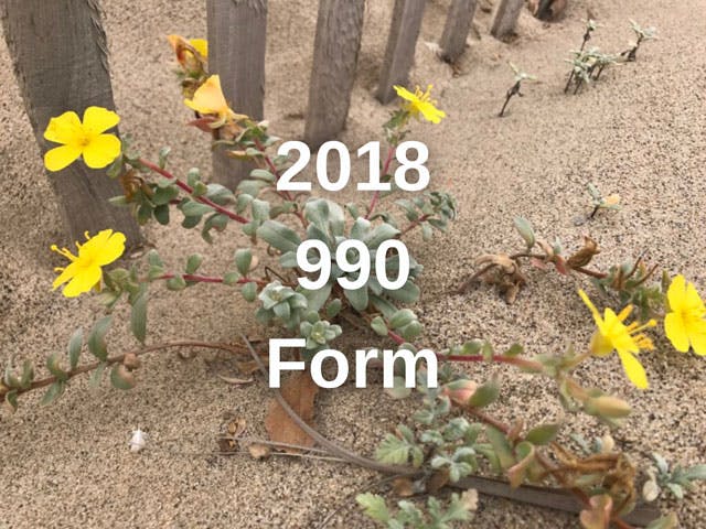 2018-990-Form-4