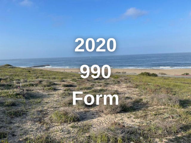 2020-990-Form-4