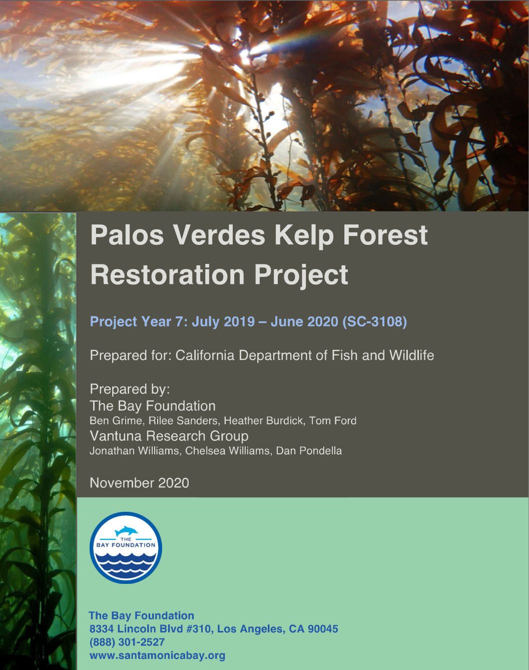 Palos Verdes Kelp Forest Restoration Project Year 7.jpg
