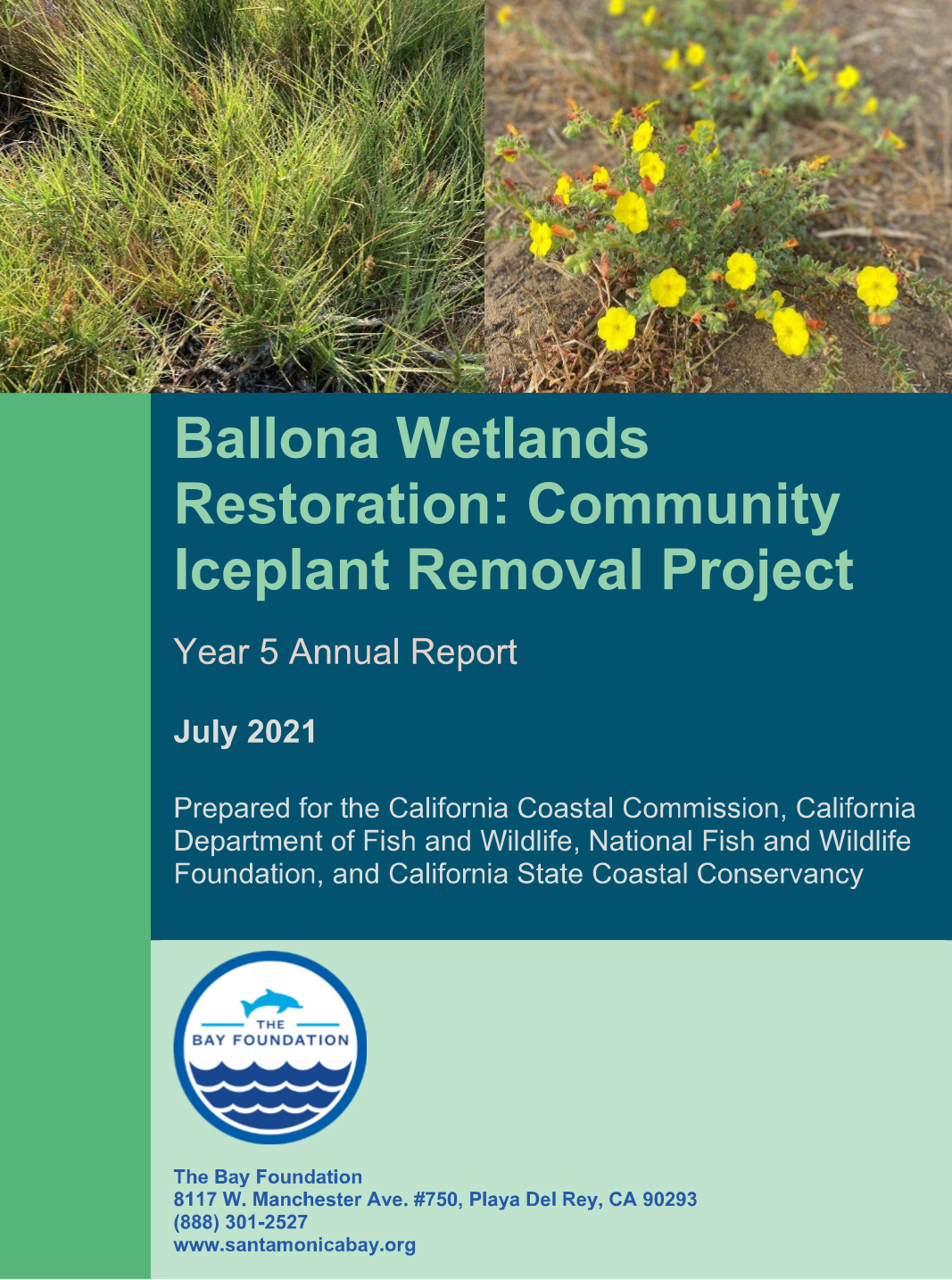 Ballona Wetlands Restoration Community Iceplant Removal Project Year 5 Annual Report