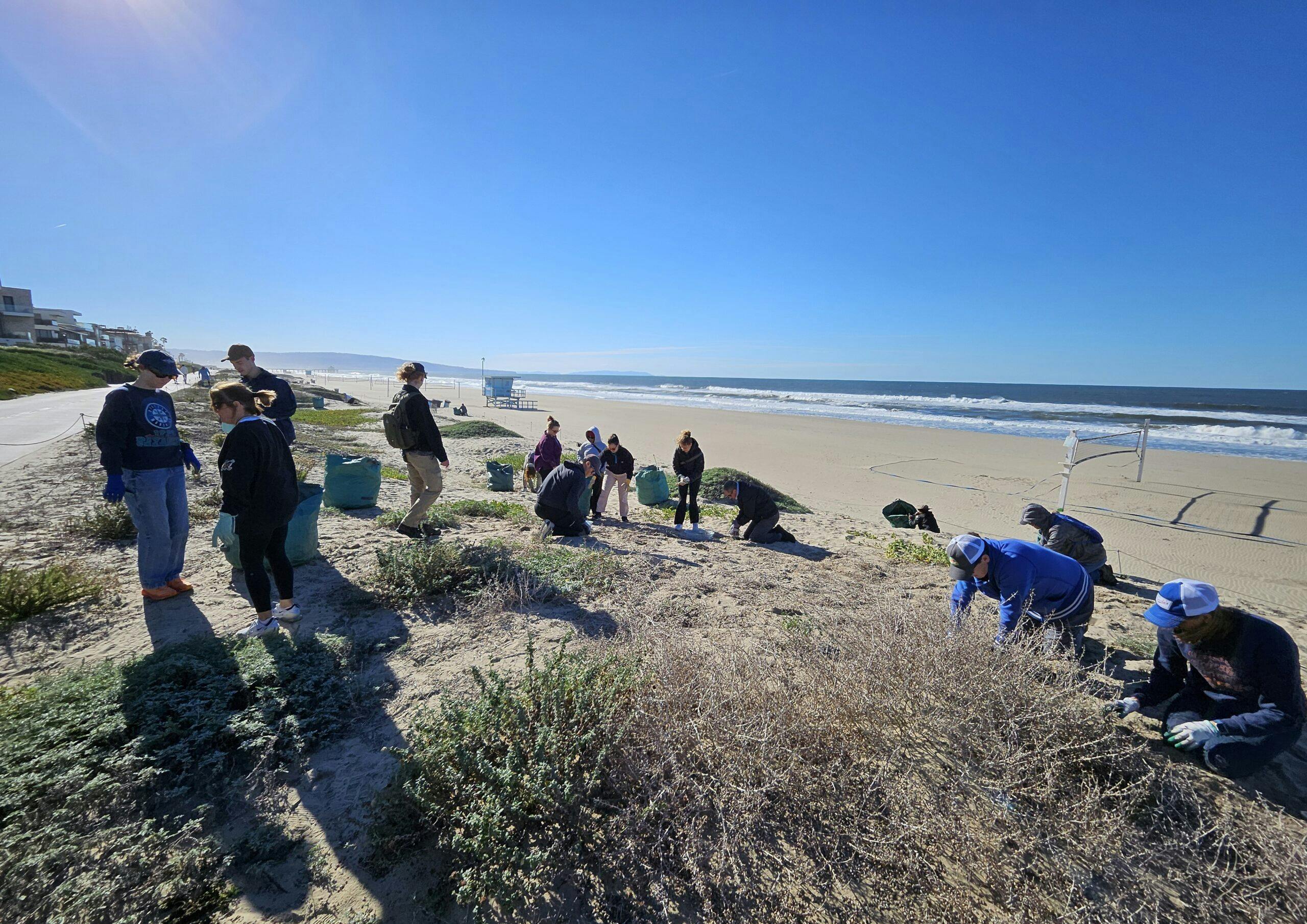 TBF volunteers supporting restoration efforts at living shoreline site