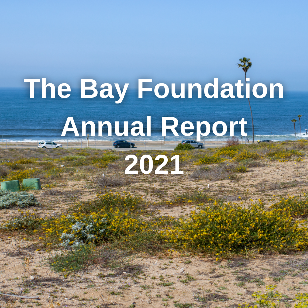 The Bay Foundation Annual Report 2021 cover photo