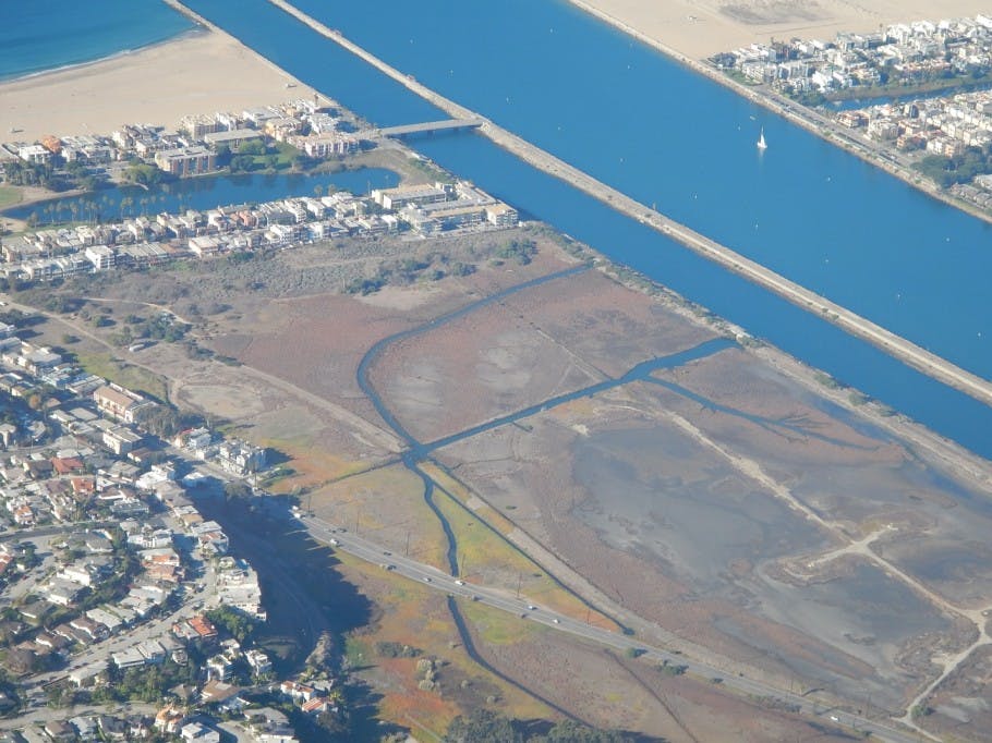 Aerial view of tidal channels within the Ballona Wetlands and Ballona Creek.