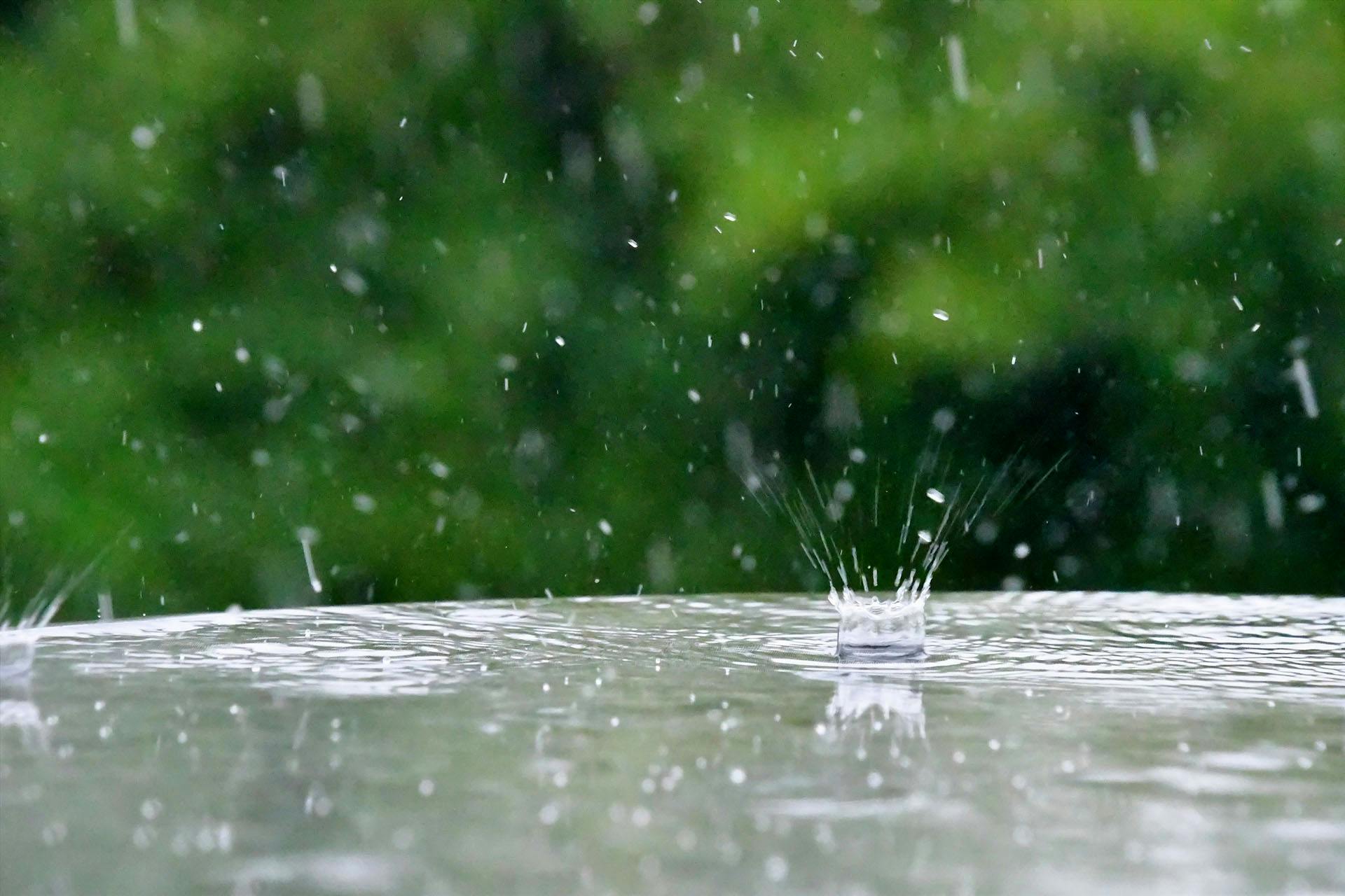 rainwater-harvesting-and-rain-gardens - rain-splashing-on-a-glass-table-during-a-summer-ra-85YVFAR